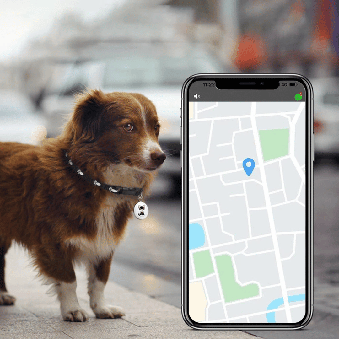 GPS lokátor pro domácí mazlíčky – pro psy a kočky – pro iOS