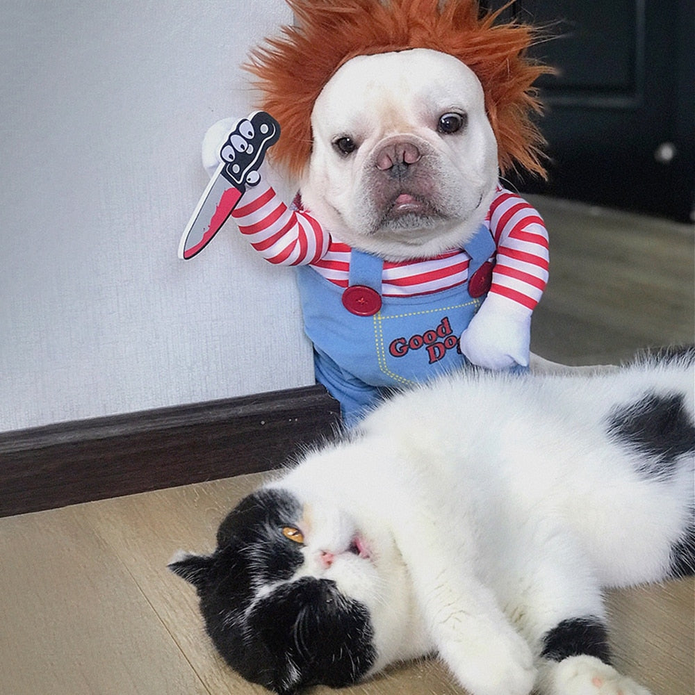 Nejvtipnější a nejstrašidelnější halloweenský kostým pro domácí mazlíčky