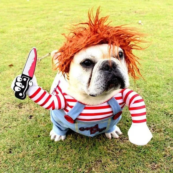 Nejvtipnější a nejstrašidelnější halloweenský kostým pro domácí mazlíčky