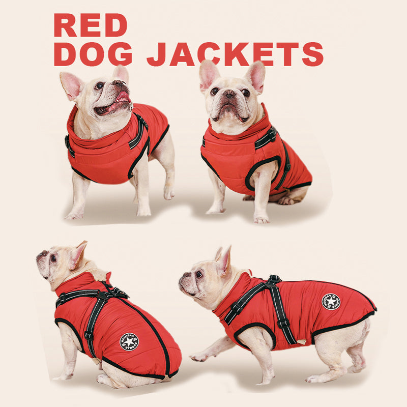 Zimní bunda pro psy 3v1 – teplá, nepromokavá a větruodolná s integrovaným postrojem